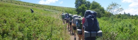 Outdoor Odyssey
