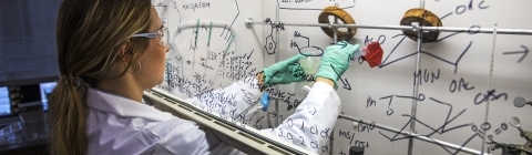 Student works on experiment under a glass hood