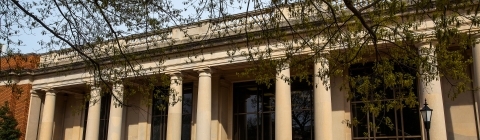 E.H.Little Library exterior through tree branches