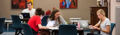 Students gather in the library and study with colorful art behind them