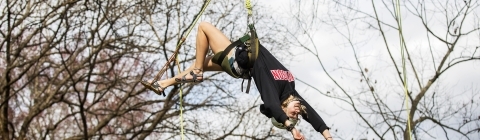 Student climbing on tree