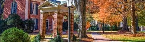 The Well in the Fall