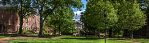 Davidson College Campus Beauty Featuring Trees and Brick Buildings