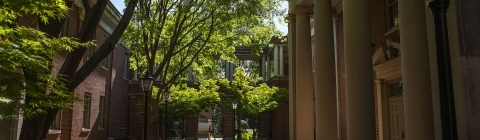 Student Walks Alone Between Buildings