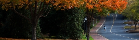 Fall Campus Beauty Students Walking Social Distance