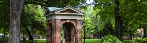 The Old Well Surrounded by Trees