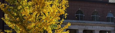 Fall on Campus in front of Alvarez