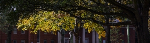 Campus in the fall