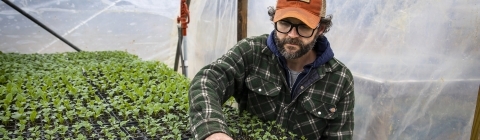 Joe Rowland Examining Seedlings