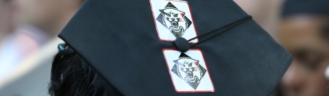 Commencement Graduation Cap Davidson Wildcat