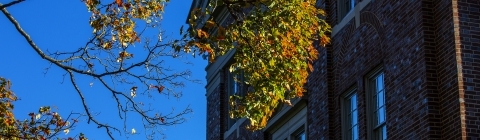 Fall Campus Scene with leaves turning colors in front of brick building