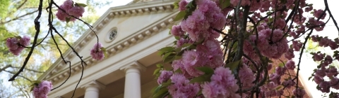Flowers and Lingle Chapel