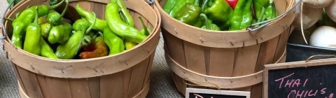 baskets of vegetables