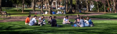 Student picnic