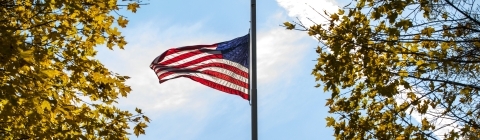 American Flag with Foliage and Blue Sky