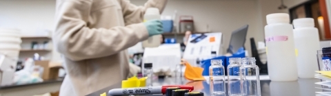 Students in Environmental Studies lab