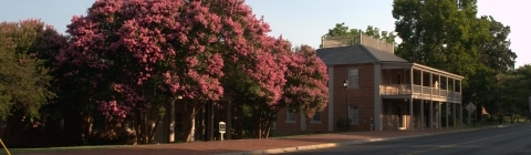 Carolina Inn with Blooming Tree