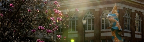 Sunset on Campus