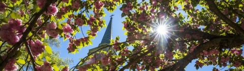 DCPC Church and Spring Foliage