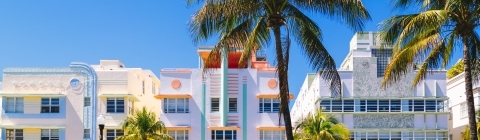 buildings and palm trees in Miami, Florida