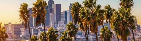 Los Angeles, California Skyline with palm trees in the foreground