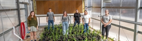 Students in the Peroni greenhouse