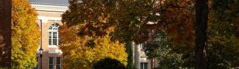 Fall Foliage in front of a brick building