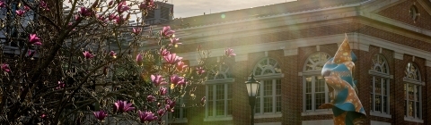 Light shines through trees in front of Wall Building and Shonibare