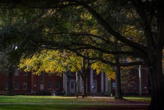 Campus in the fall