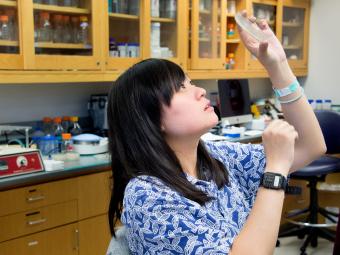 Grace Li' holds a plate of bacteria in the air and looks at it through the light