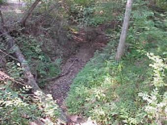 Small Creeks and Steams Ecological Preserve