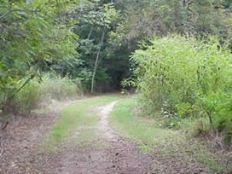 Edge Habitats Ecological Preserve