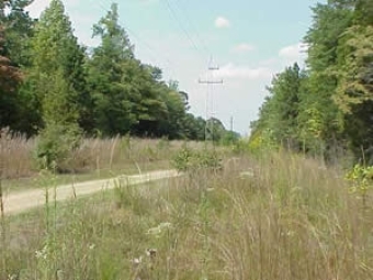 Power Lines Cut Ecological Preserve