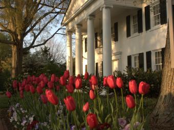President's House surrounded by flower beds