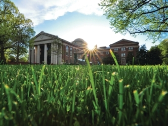 Chambers through blades of grass and the sunrise