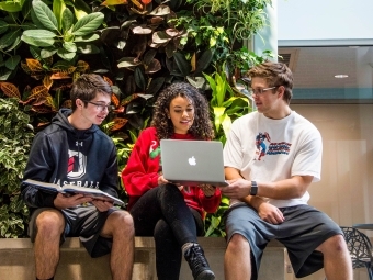 Group of students studying by plant wall