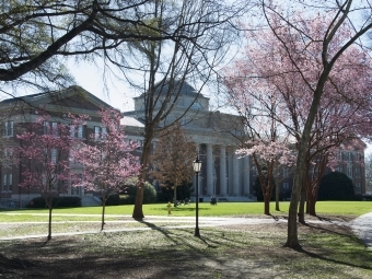 Chambers building surrounded by flowering trees