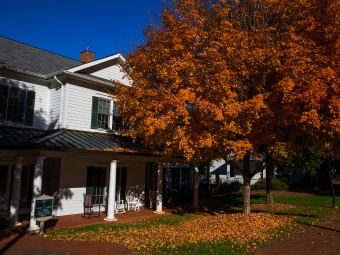 WDAV building on Main Street with orange fall leaves falling from tree