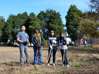 Students in a field doing community service