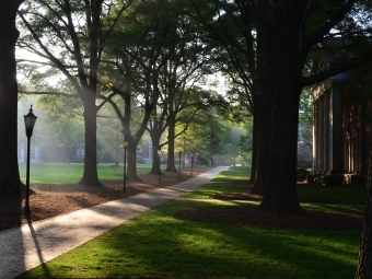 Campus and trees at early morning fog