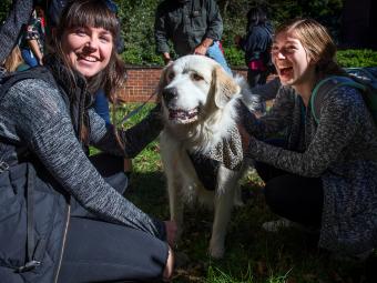 Students pet big fluffy dogs outside