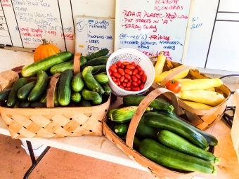 Vegetables in a basket