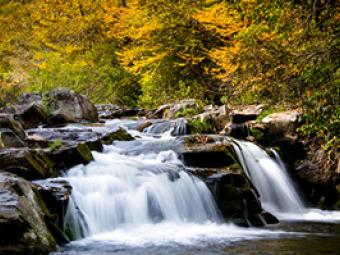 Waterfall Environmental Photo