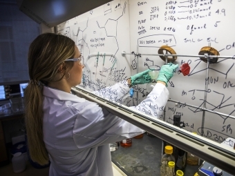 Student works on experiment under a glass hood