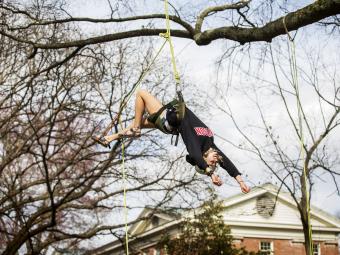 Student jumps backward from tree limb with harness
