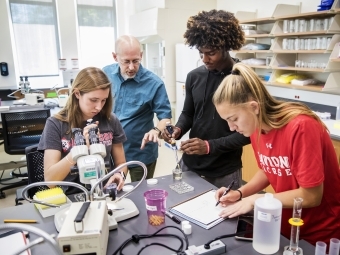 Chris Paradise and Students Conduct Lab Work