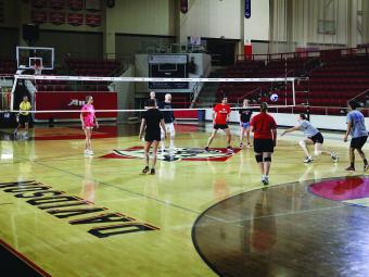 Recreational Volleyball Team Playing