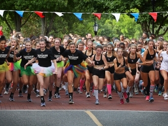 Sports teams leading the cake race