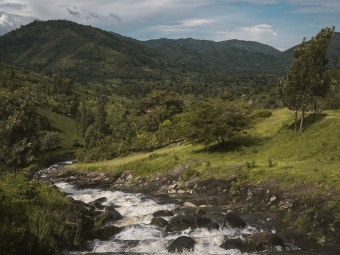 Ross Boyce Landscape