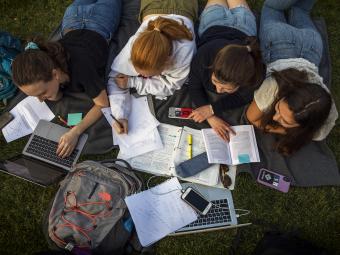 Group of Students Studying on the Lawn